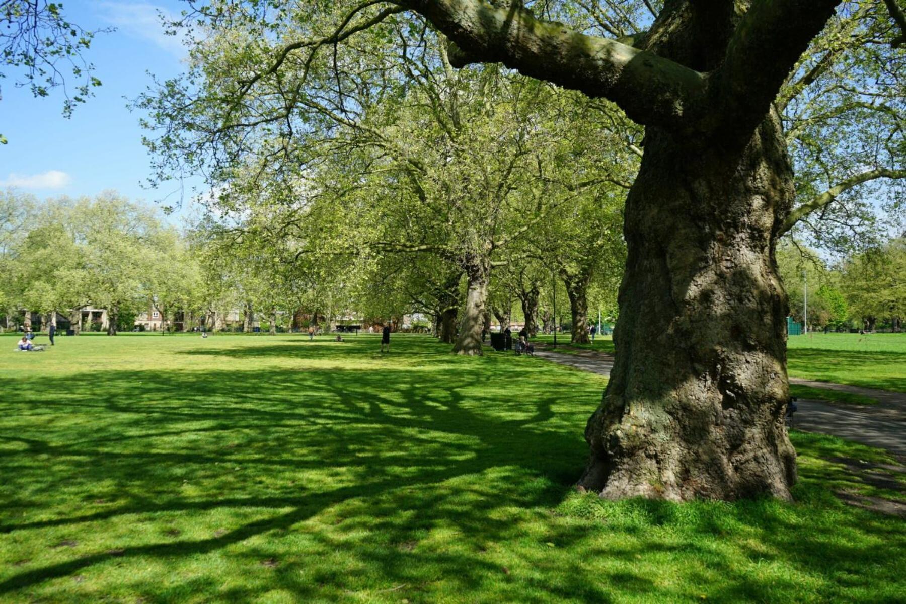 Fields - Escape Londra